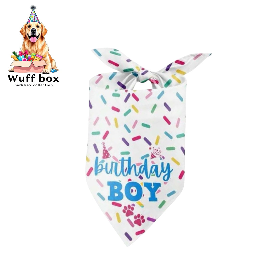 BarkDay Boy Print Bandana