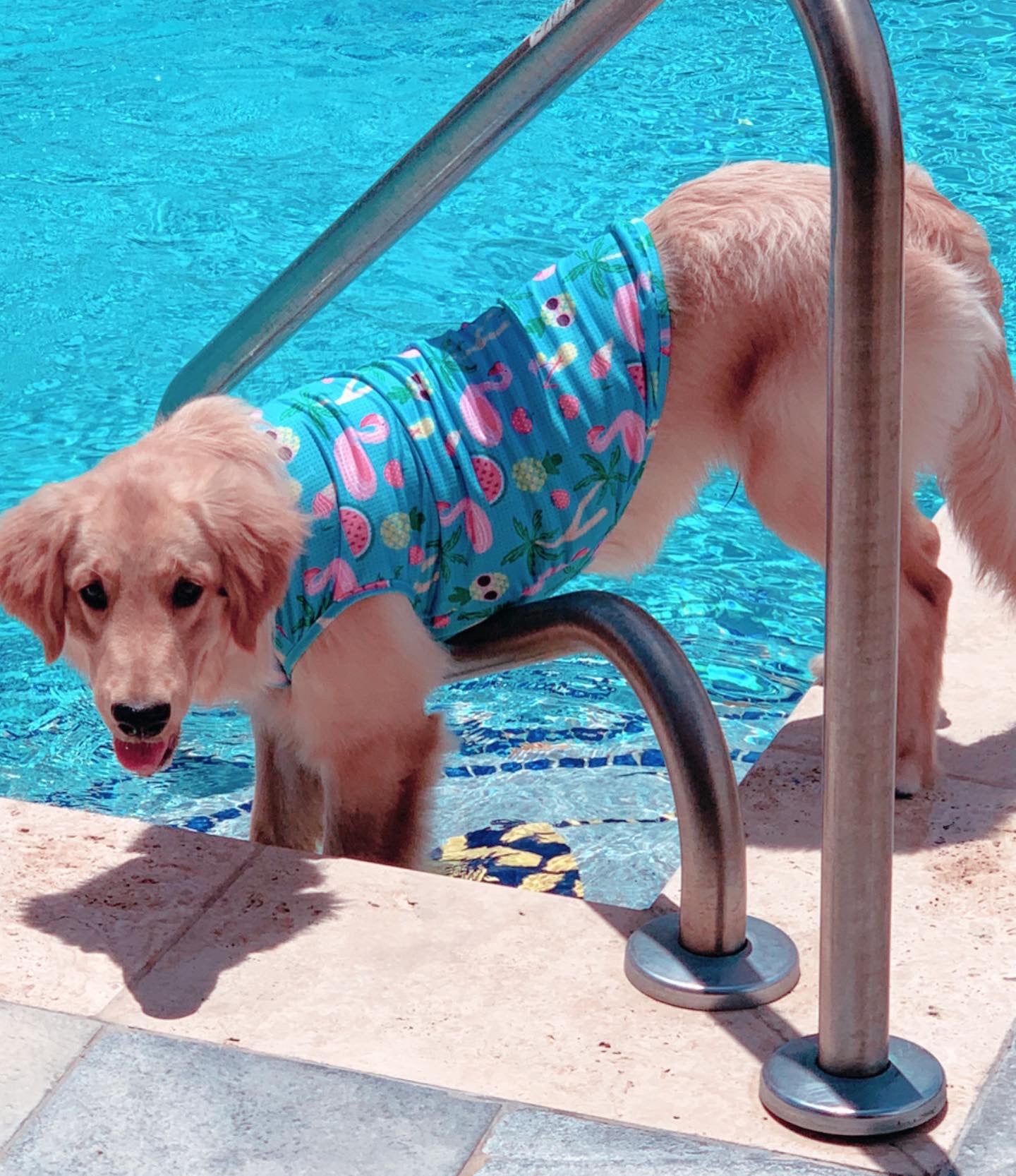 Flamingo Print Breathable Tank