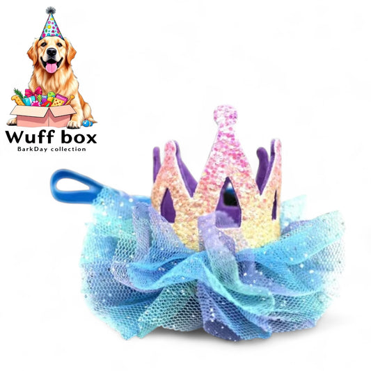 Princess Crown Head Piece