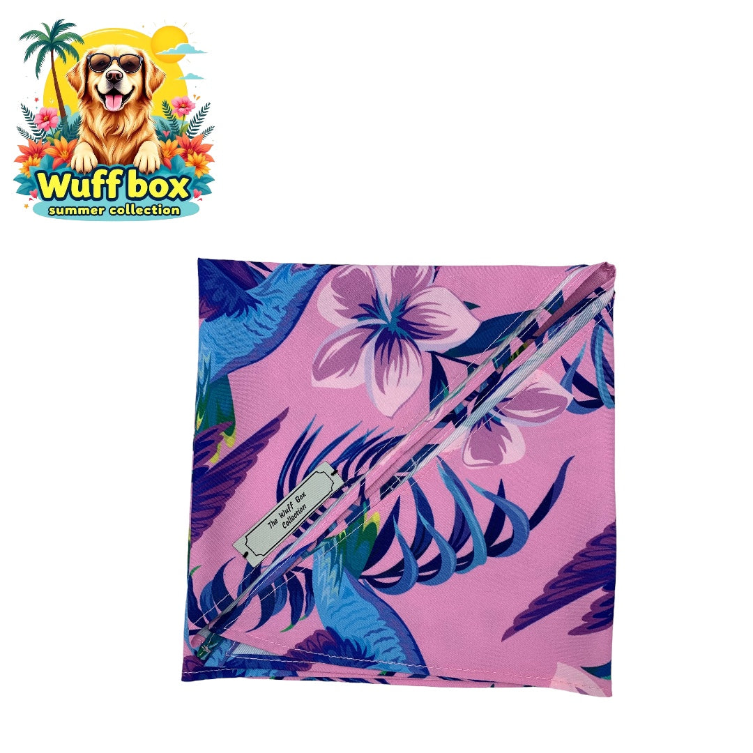 Summer Print Bandana’s (Big Pups)