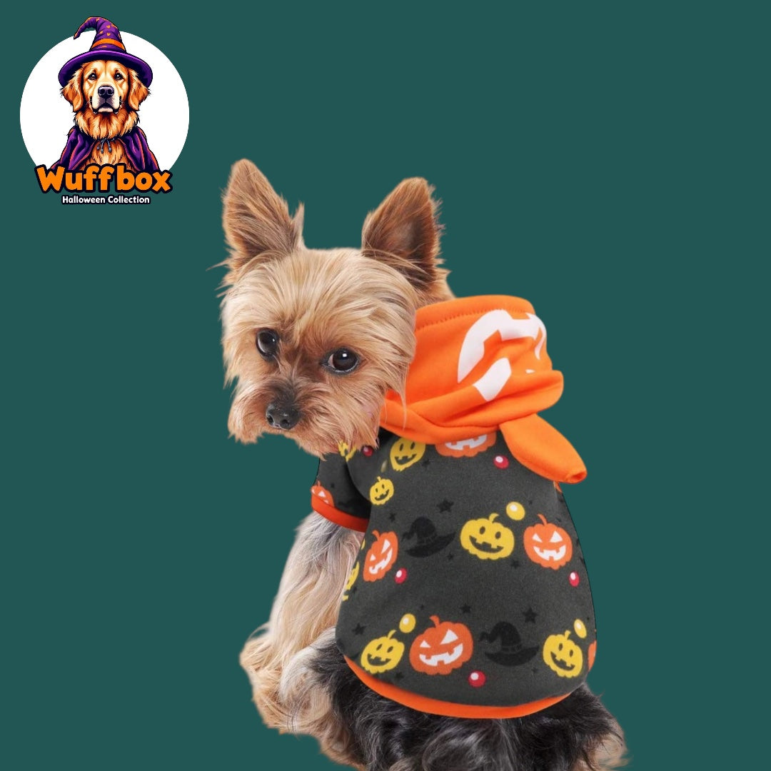 Halloween Theme Hoodie