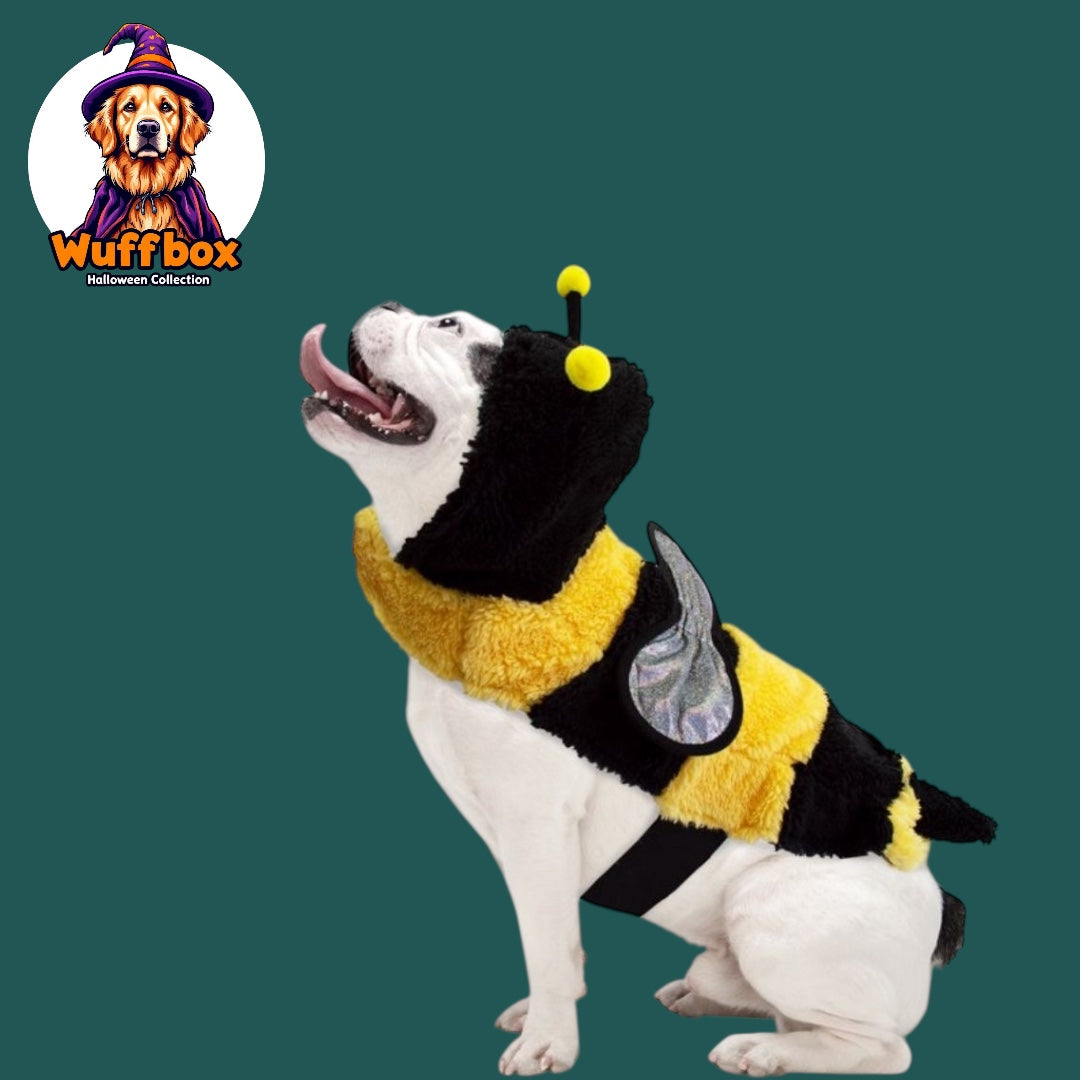 Bee Halloween Costume
