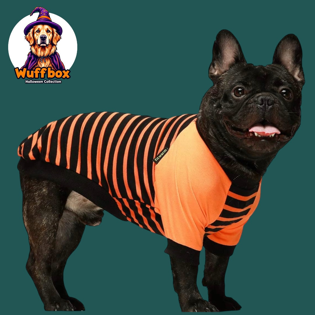 Fitwarm Halloween Stripe Tee