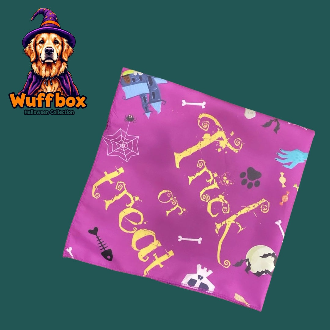 Trick or Treat Halloween Bandana