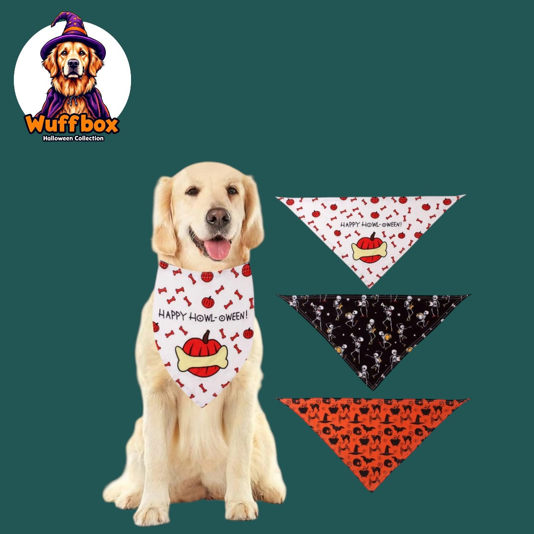 Halloween Theme Bandanas