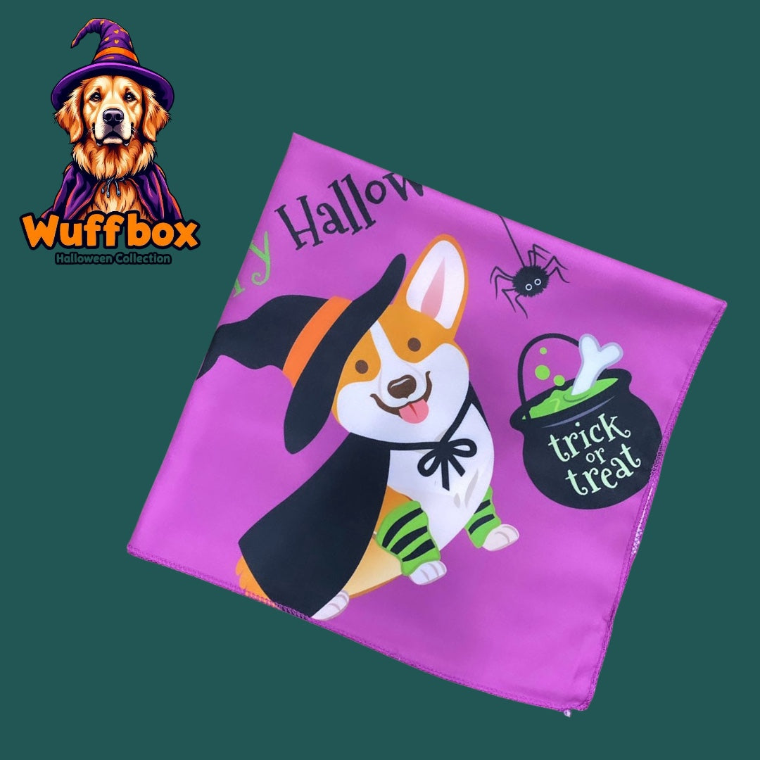 Happy Halloween “Corgi” Print Halloween Bandana