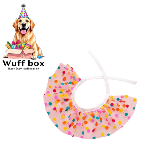 Lace Collar Birthday Hat Set