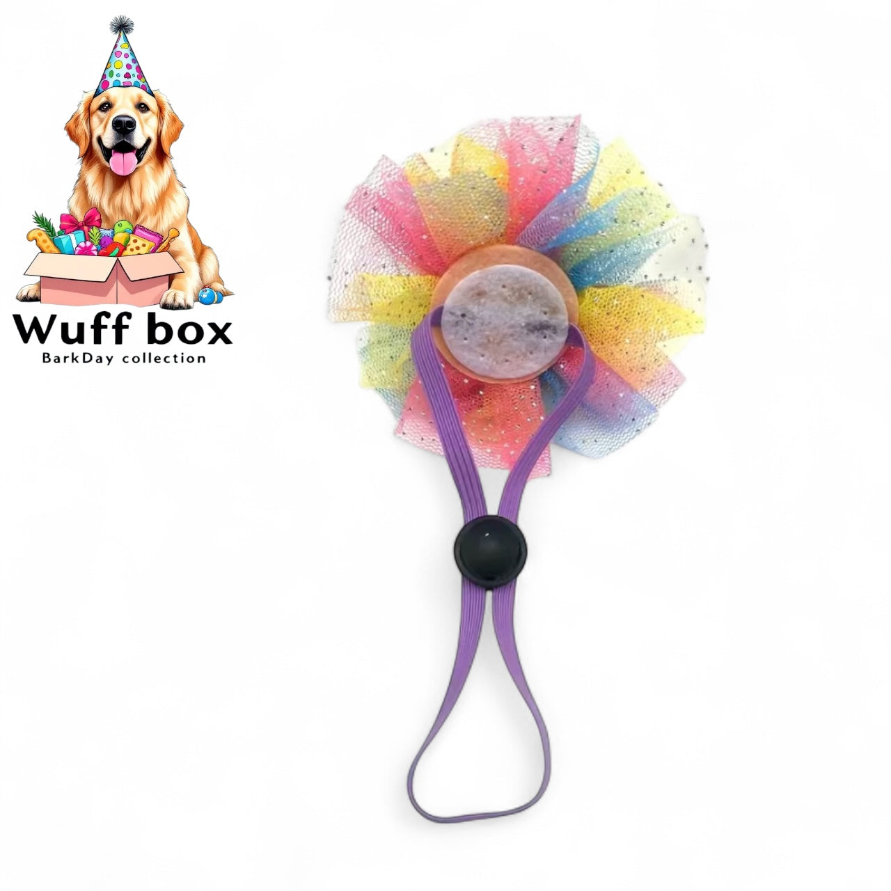 Princess Crown Head Piece