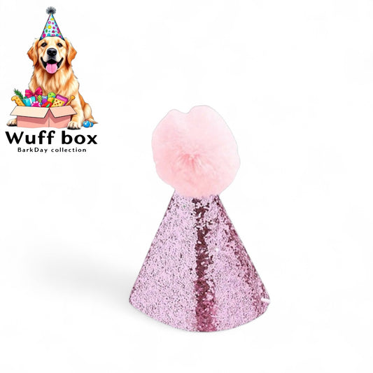 Pom Pom BarkDay Hats