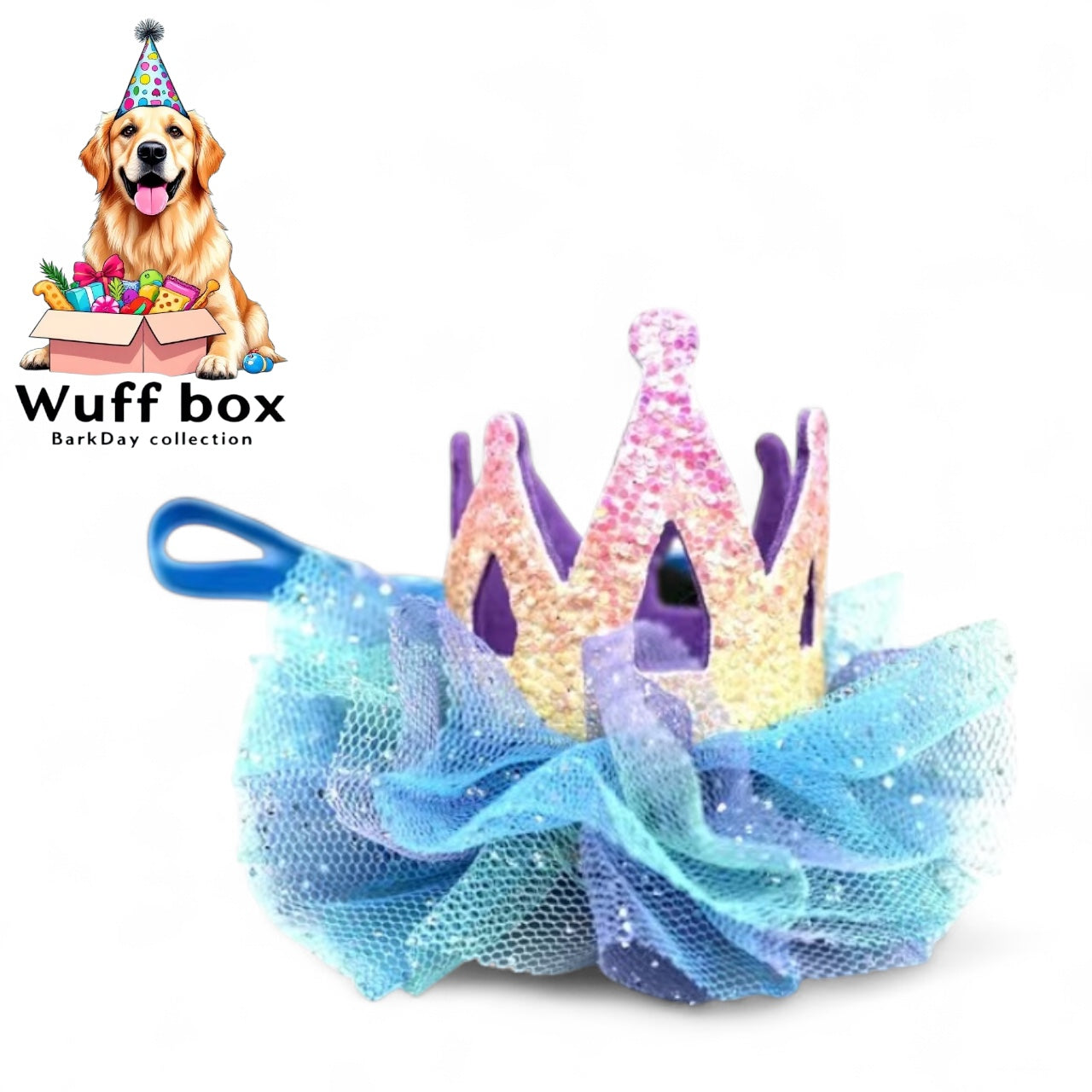 Princess Crown Head Piece