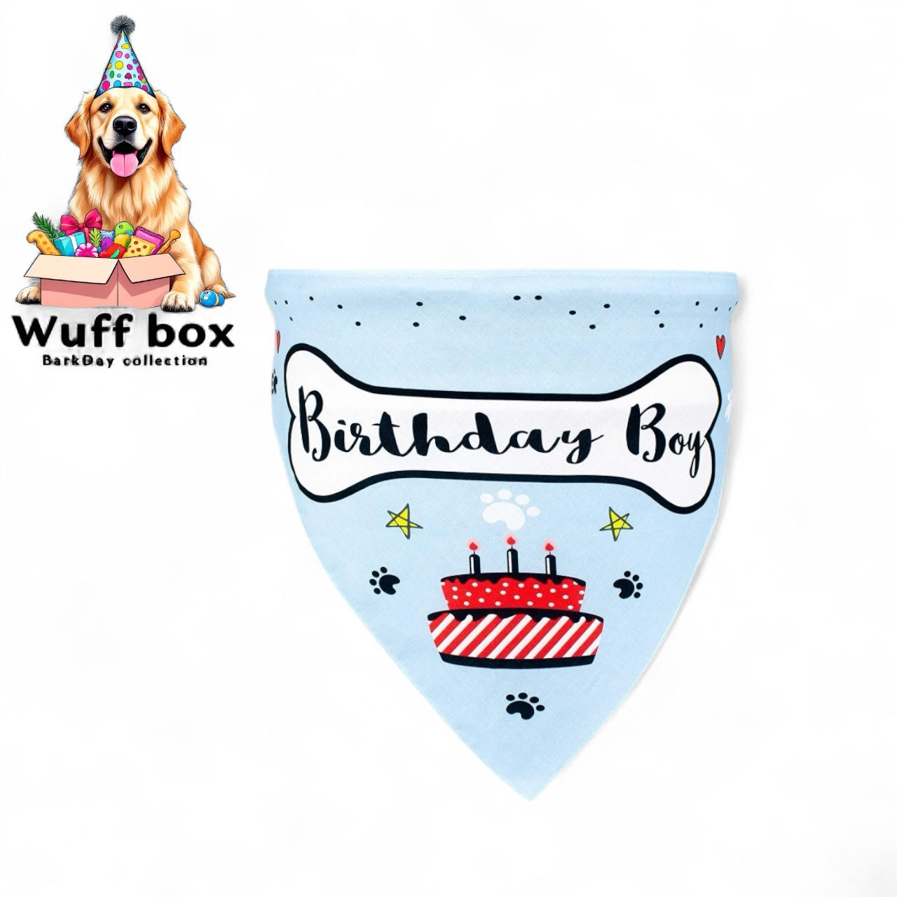 Baby Blue Birthday Boy Bandanas