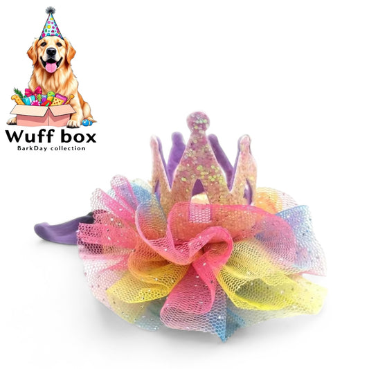 Princess Crown Head Piece