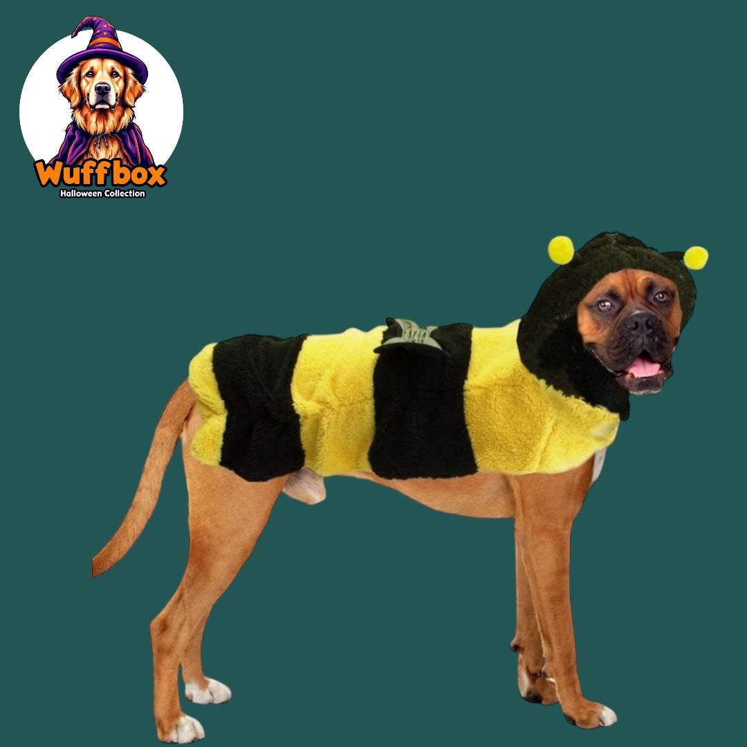 Bee Halloween Costume