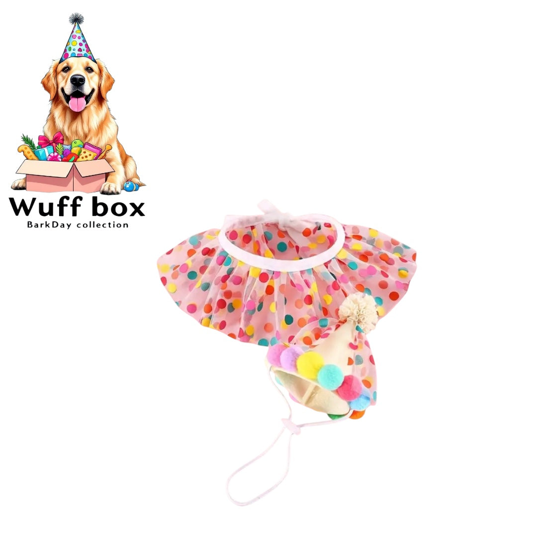 Lace Collar Birthday Hat Set